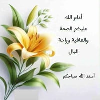 لباخ متفرغ • اسمنت وجص • درجة أولى