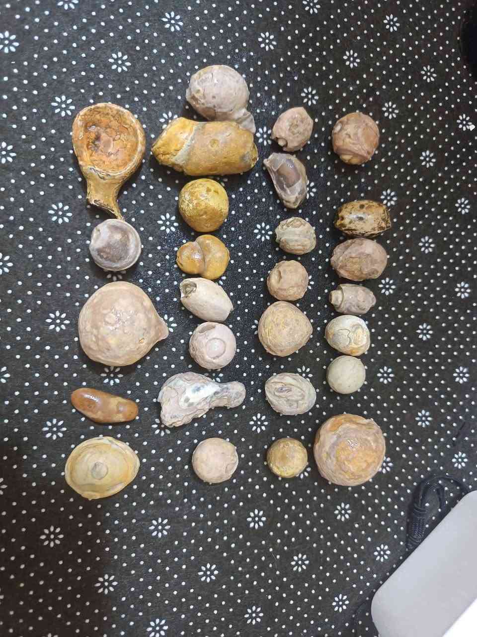 جمله شلع السعر خاص


**إذا كنت صاحب هذا الإعلان وتريد حذفه لأي سبب، رجاءا أرسل رسالة إلى الدعم الفني**