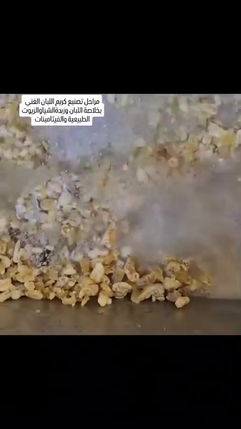 *لبان الذكر الطبيعي 100% 🌿 | شغل يدوي بالعصر البارد*

زبائننا الحلوين، حابين نوريكم شلون نصنع كريم وزيت لبان الذكر مالنا بطريقة تحافظ على كل فايدته:

*شلون نصنعه؟*
1. *اختيار اللبان الأصلي*: نستخدم لبان ذكر عماني درجة أولى، حبات نظيفة وريحتها قوية.
2. *النقع بالعصر البارد*: ننقع اللبان بماي ورد طبيعي على حرارة الغرفة لمدة 48 ساعة. بدون نار، بدون تسخين، حتى ما تضيع الزيوت الطيارة والكولاجين الطبيعي اللي بيه.
3. *التصفية اليدوية*: نصفيه يدوياً بقماش قطني نظيف حتى يطلع عندنا ماء لبان مركز وصافي 100%.
4. *الخلط الطبيعي*: ندمجه ويه زيوت طبيعية معصورة باردة مثل زيت جوز الهند وزيت اللوز، وشمع العسل الأصلي.  
كل هذا يتم يدوياً وبأدوات نظيفة، بدون أي مواد حافظة، بدون عطور صناعية، بدون كيماويات.

*ليش "معصور بارد" أفضل؟*
الحرارة العالية تدمر الفوائد. العصر البارد يحافظ على خصائص لبان الذكر الطبيعية المسؤولة عن:
- شد البشرة وتقليل مظهر الخطوط
- توحيد لون البشرة وتفتيحها بشكل طبيعي  
- تهدئة البشرة وتقليل الاحمرار

*النتيجة؟*
منتج طبيعي 100%، قوامه خفيف، ريحته طبيعية، وأمن حتى للبشرة الحساسة.

*طريقة الاستخدام*: مسحة خفيفة بالليل على بشرة نظيفة، وتغسلين وجهك الصبح. ومع الاستمرار راح تلاحظين الفرق 💚

---

_ملاحظة: النتائج تختلف من شخص لآخر حسب طبيعة البشرة. الاستمرار هو سر النتيجة._


**إذا كنت صاحب هذا الإعلان وتريد حذفه لأي سبب، رجاءا أرسل رسالة إلى الدعم الفني**