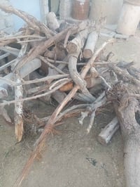 يوجد حطب كرامي للبيع ..  07824872545