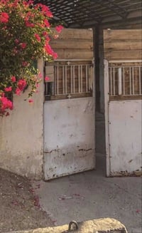 ((( محمد للأستثمار العقاري ))) 🌲🌲تخفيض🌲🌷🌷2026🌷🌷🌲 الاسعار 🌲  للتعرف على...