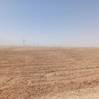 مزرعة • ٧٥ دونم • شارع الديوك