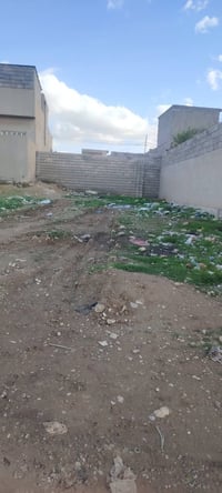 العبور المدخل الأول • ١٦٥م • قريبة شارع عام