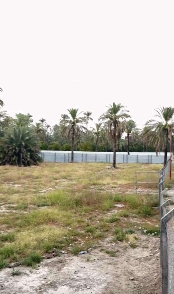 سلام عليكم دونم طابو زراعي سند 25 للبيع العنوان المدائن منطقة الجعارة قرب شارع سيد علي وجه 40 متر ركن الاستفسار ***********@
