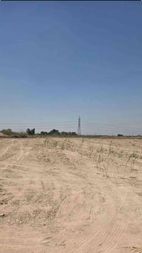 دونم للبيع في بغداد المدائن منطقة التويثه يصلح مزرعه او استثمار وجه ال...