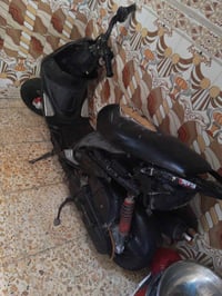 ماكس عدله • بوشة ٤٩ • معدل فول
