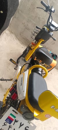 حسن • بابل • الشوملي