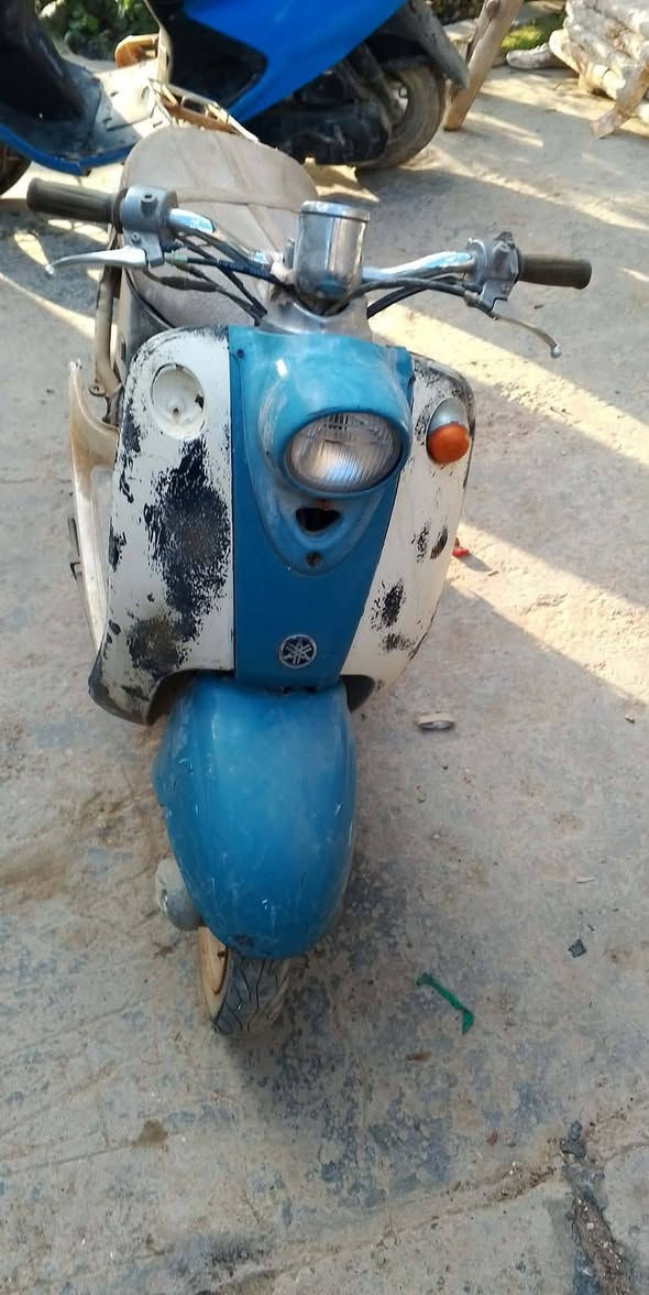 دراجات عدد 2 فراشه فحل وعبد الحليم كايمات أبيع كوم حديد سعرهن 150بيهن مجال مكان الحصوه ***********
