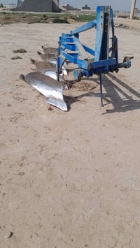 ابو الطير • ٤ سجة • تسفيط واحد