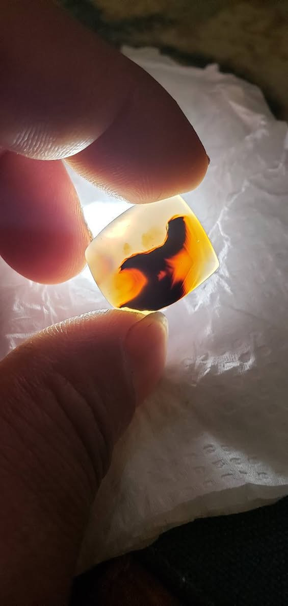 مصور صريح البيع مفرد


**إذا كنت صاحب هذا الإعلان وتريد حذفه لأي سبب، رجاءا أرسل رسالة إلى الدعم الفني**