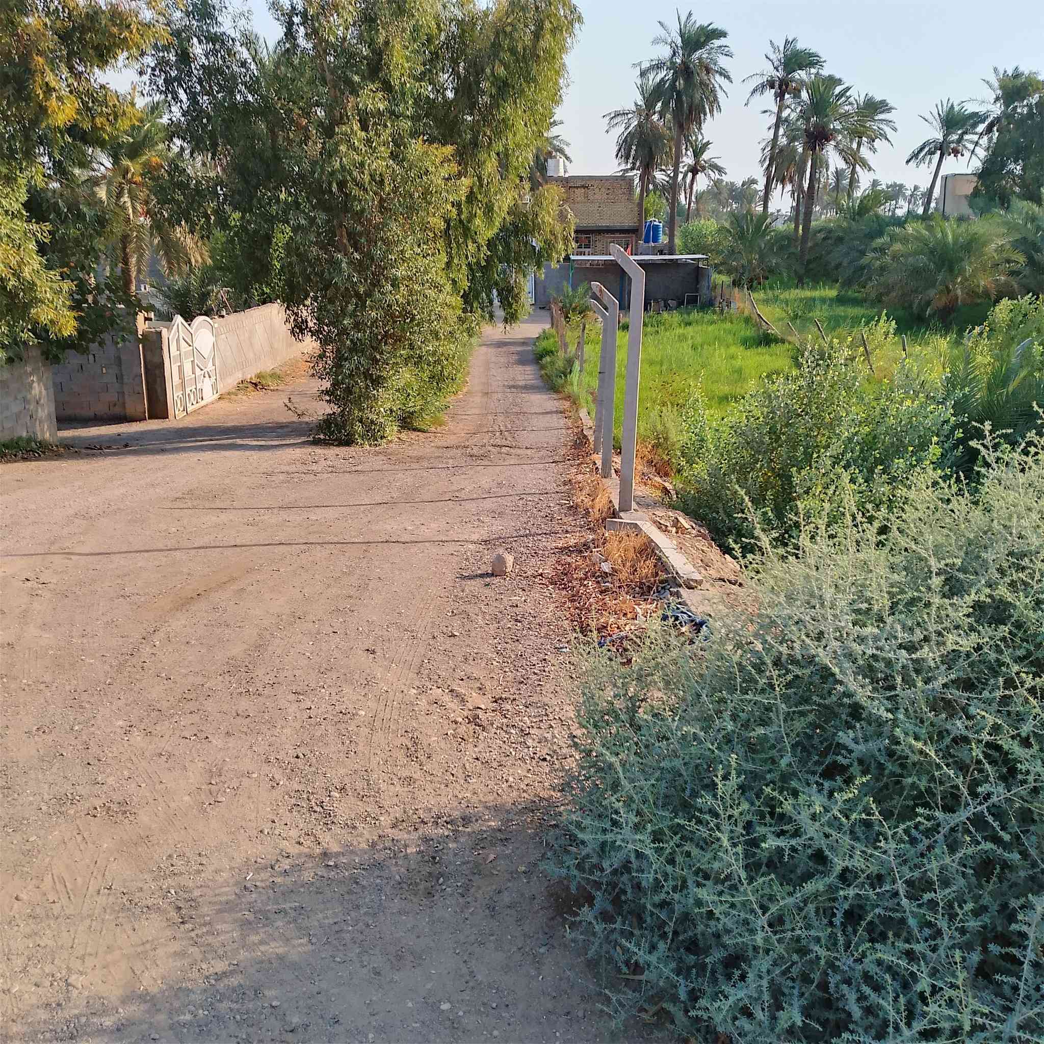 سلام عليكم ورحمه الله وبركاته نصف دونم على الشط طابو صرف 25 مع بيت بنيان جديد سنه 22  المساحه البيت 300 طابوك صب كونكريت الوجه مال نصف دونم 13 ونزال من سده لشط مع حوض اسماك العنوان ميسان بساتين دفاس قرب الاساله الماي ثانية الاستفسار ***********
