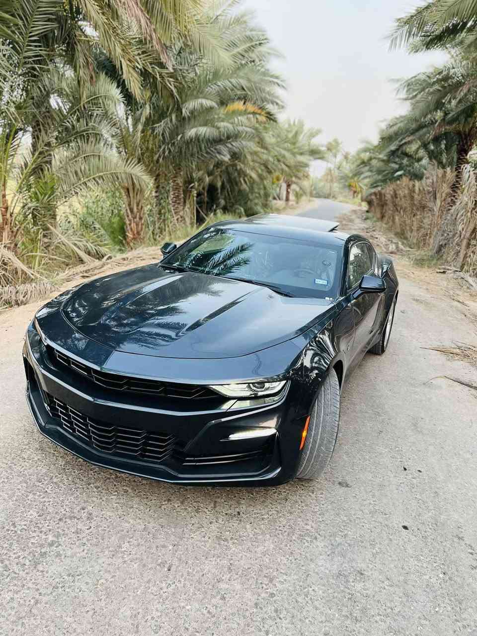 السلام عليكم  عندي كموره 23 مكينه 4 سلندر تيربو فول مواصفات فتحه سقف كهربائي شاشه كبيره كامره دواره بصمت تشغيل وبصمت ابواب تشغيل عن بعد تحكم ستيرن شفتات بالستيرين قياده ذاتيه تحديد مسار قفل سرعه السعرخاص 
***********
