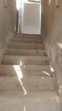 مشتمل للايجار نضيف وجديد مامسكون 
سعر الايجار 225
اي استفسار اتصال بل ارقام 
***********
***********
***********
