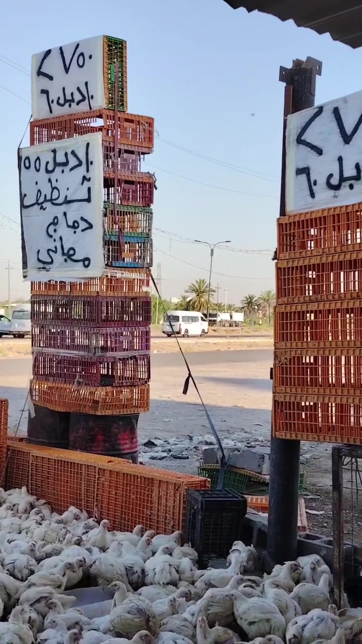 علوه دجاج علاء


**إذا كنت صاحب هذا الإعلان وتريد حذفه لأي سبب، رجاءا أرسل رسالة إلى الدعم الفني**