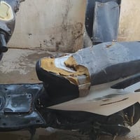 سكنس • ماكس • ياباني
