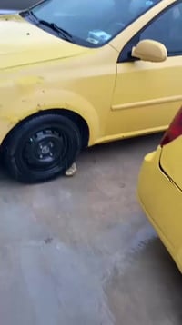 البيع ابتره مديل 11 شركه العامه بعدهي بصبغ الشركه عل بلاد مكفوله من ال...