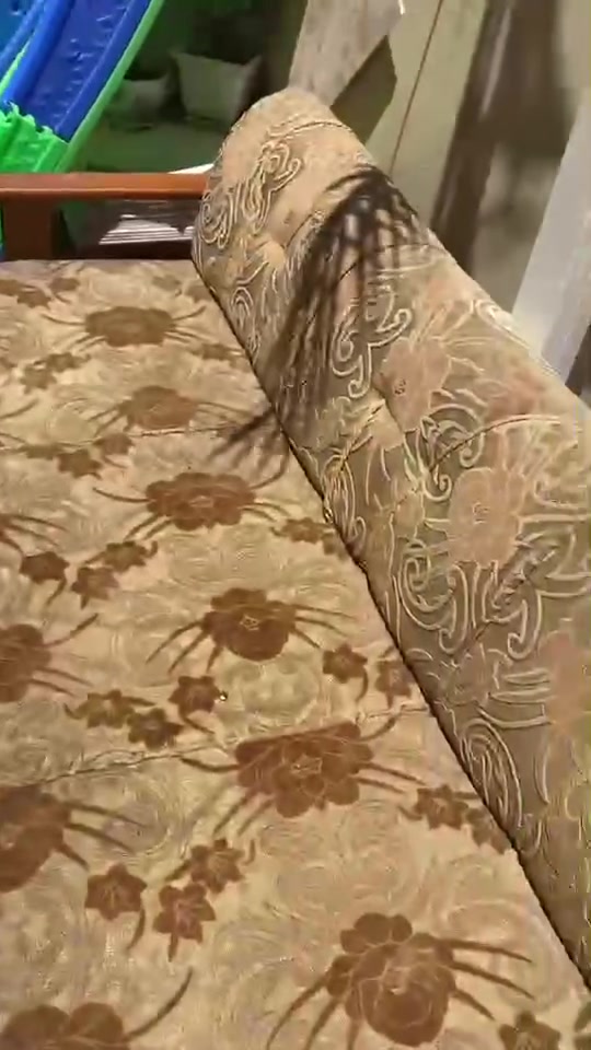 السلام عليكم ورحمة الله 
تخم للبيع بسعر جداً مناسب 
خاص


**إذا كنت صاحب هذا الإعلان وتريد حذفه لأي سبب، رجاءا أرسل رسالة إلى الدعم الفني**