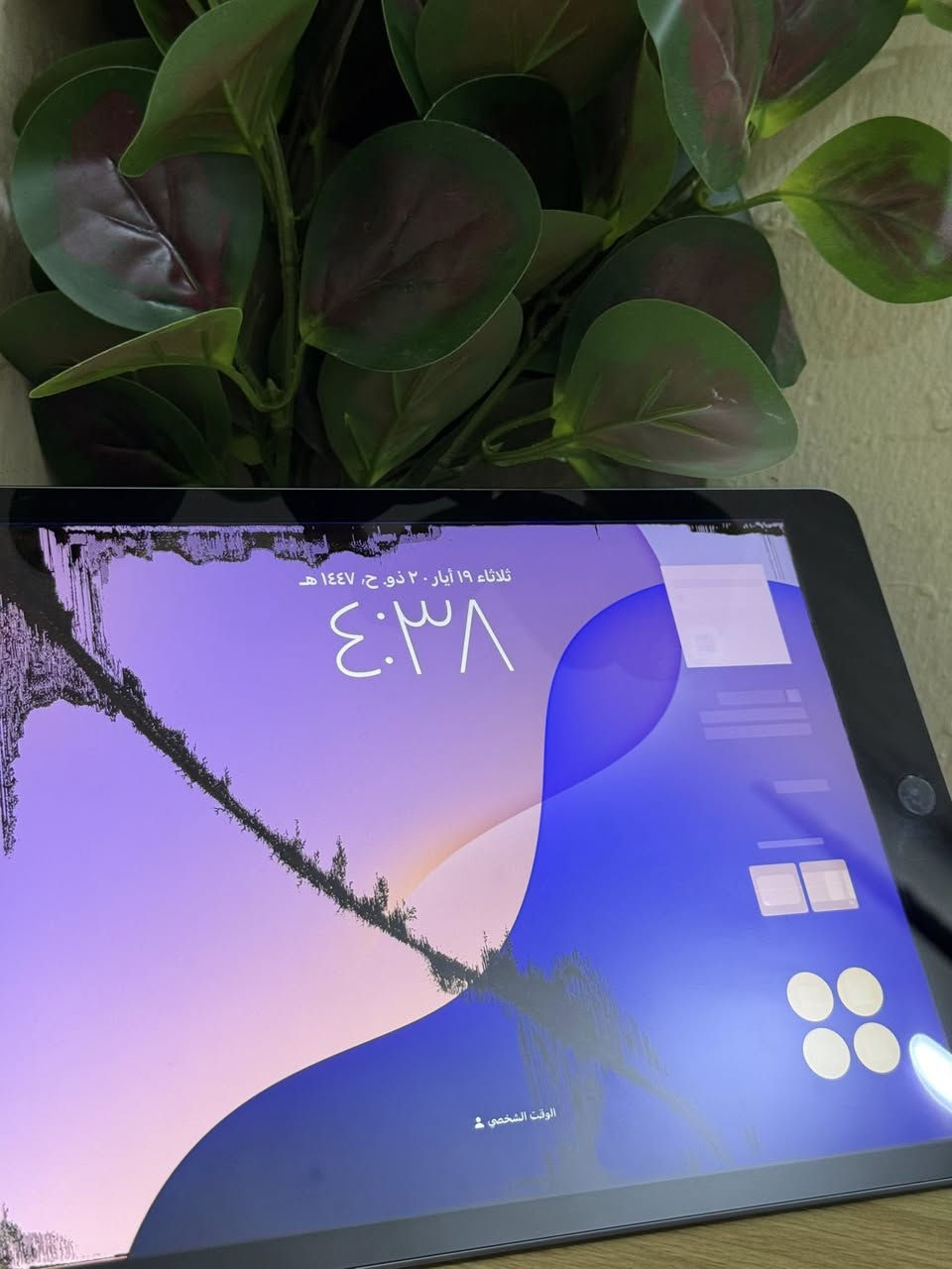 ايباد جيل التاسع ٩
ذاكره ٦٤ جيجابايت
بطاريه على الاغلب بالتسعين او فوك ٩٥ 
استخدام قليل 
شاشه تحتاج تبديل بيها خطوط سوده مامأثره لا عاللمس ولا على اي شي 
ايباد نظيف كلش لا ضربه لا مطعوج كلشي مابي بس شاشه تحتاج تبديل

سعر ١٦٠ الف 
علق وادزلك التفاصيل


**إذا كنت صاحب هذا الإعلان وتريد حذفه لأي سبب، رجاءا أرسل رسالة إلى الدعم الفني**