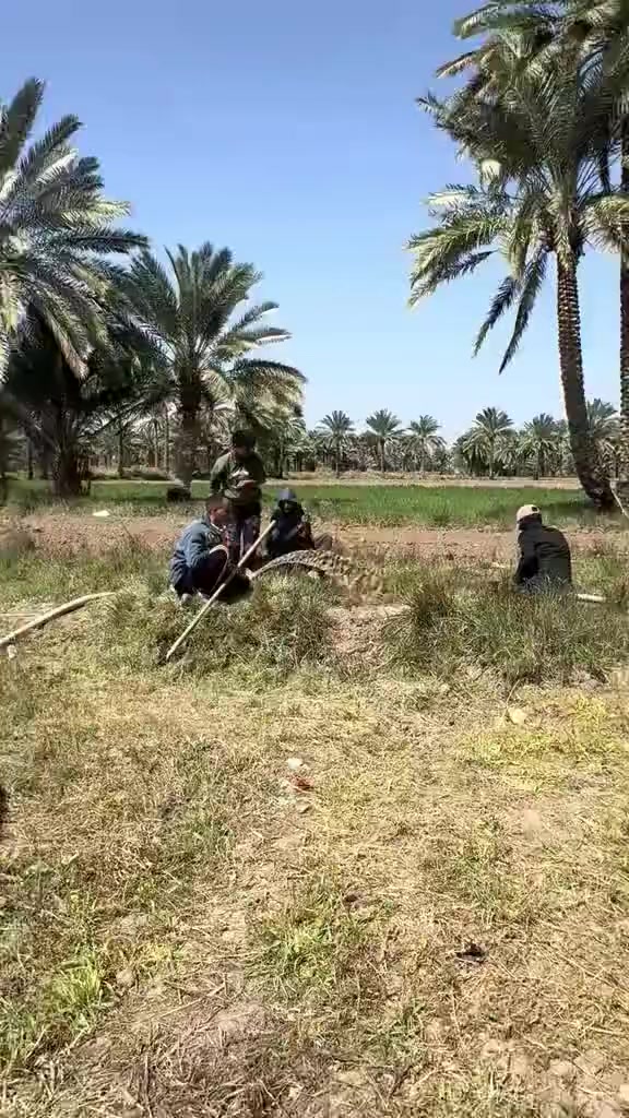 حفر الابار الارتوازيه في جميع اقضيه ونواحي الناصريه
***********
