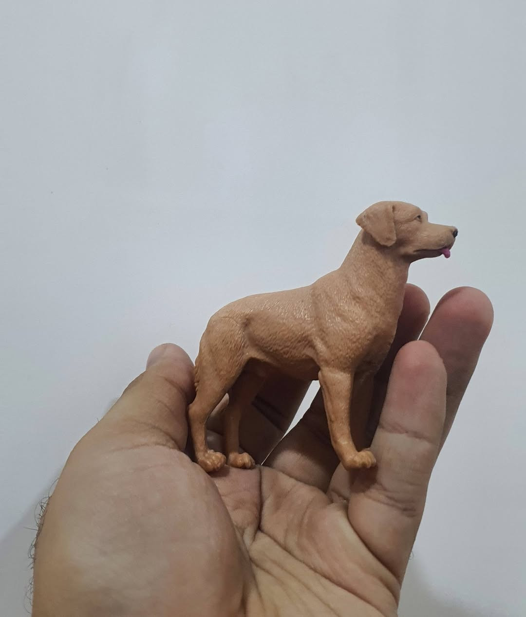 متوفر 
مجموعة كلاب شركات مختلفه 
عددهم ١٢ قطعه تباع مجموعه .


**إذا كنت صاحب هذا الإعلان وتريد حذفه لأي سبب، رجاءا أرسل رسالة إلى الدعم الفني**