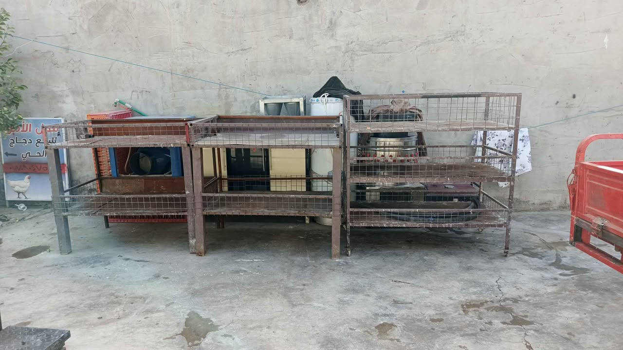 ‎ميوزه  اقفصه لبيع ثلاثه 100‎ كركوك, العراق


**إذا كنت صاحب هذا الإعلان وتريد حذفه لأي سبب، رجاءا أرسل رسالة إلى الدعم الفني**