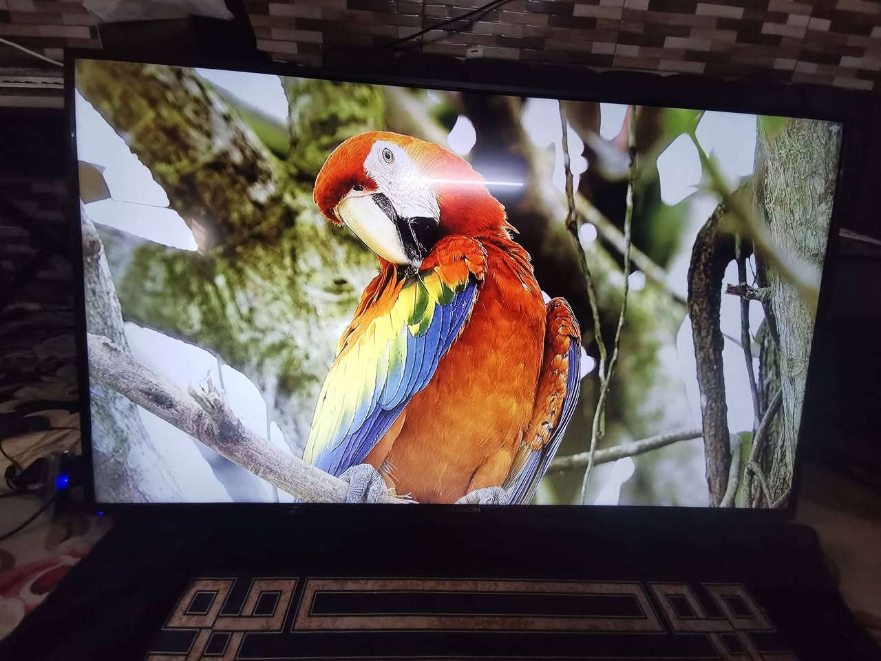 سلام عليكم عندي شاشه نوع شنون الحجم 55 بدون نت بيها سوادات بصوره بس مابينه اعبيها ع وضعها السعر 170 الف بدون ريموت لتواصل على الأرقام ***********
WhatsApp +964***********
