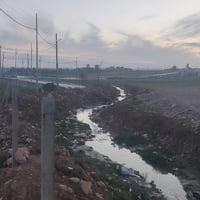 حي الزيتون • ٢٤٠م • جمعية المهن الصحية