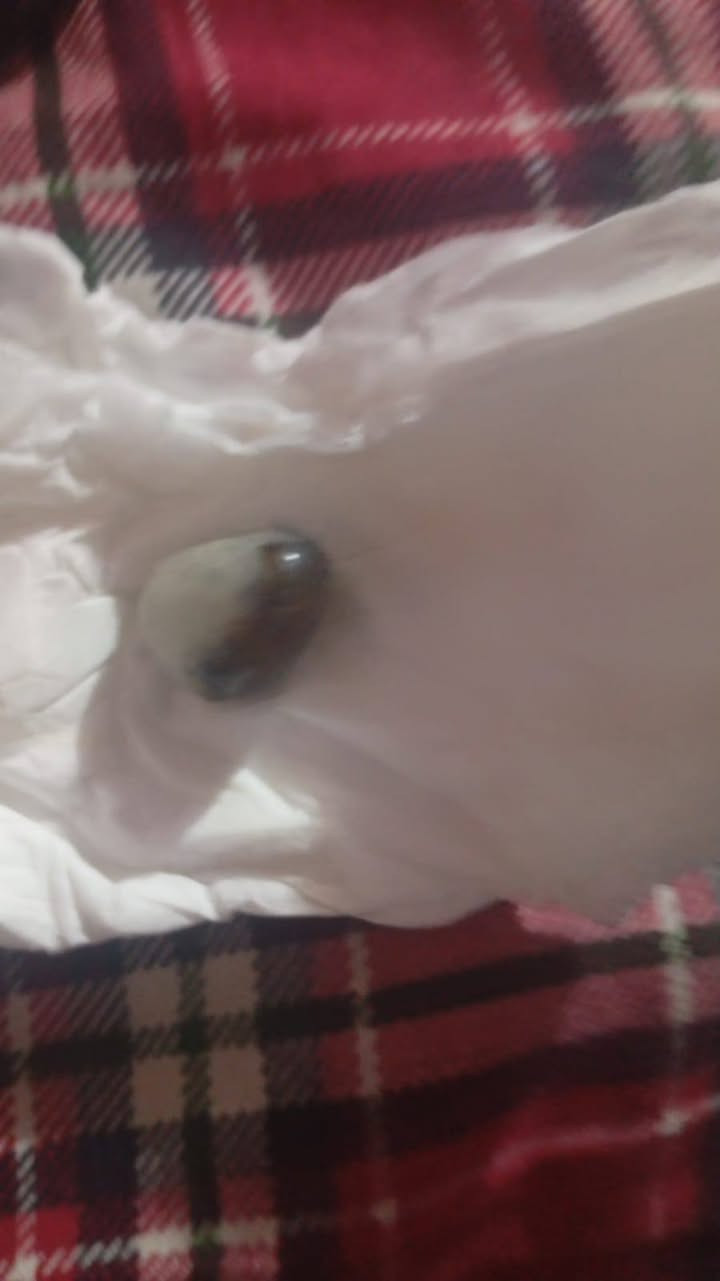 شرط زماط


**إذا كنت صاحب هذا الإعلان وتريد حذفه لأي سبب، رجاءا أرسل رسالة إلى الدعم الفني**