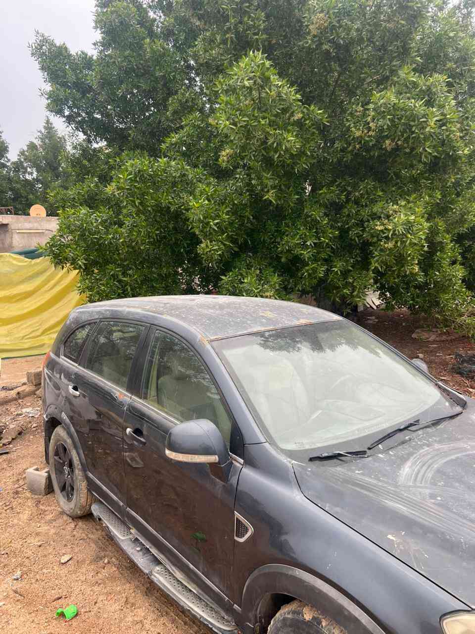 السلام عليكم كاتيفيا 2007  ـ7 راكب محركه 3600السعر 40 العنوان بصره ابو الخصيب *********** مكلف بل نشر بيه خلل فاصل السكليتر
