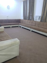 تخم قنفات بحاله ممتازه للبيع الاتصال بالرقم ٠٧٧٠٩٦٢٤٤٧٣