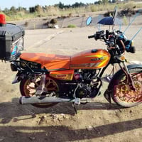 سونك • ٢٠٢٥ • اوراق اصلية