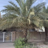 بيت للبيع في منطقة الاساتذة (حي تبوك م٨٧٥ ز٧٠) قرب ال ٤ شوارع ومجمع ال...