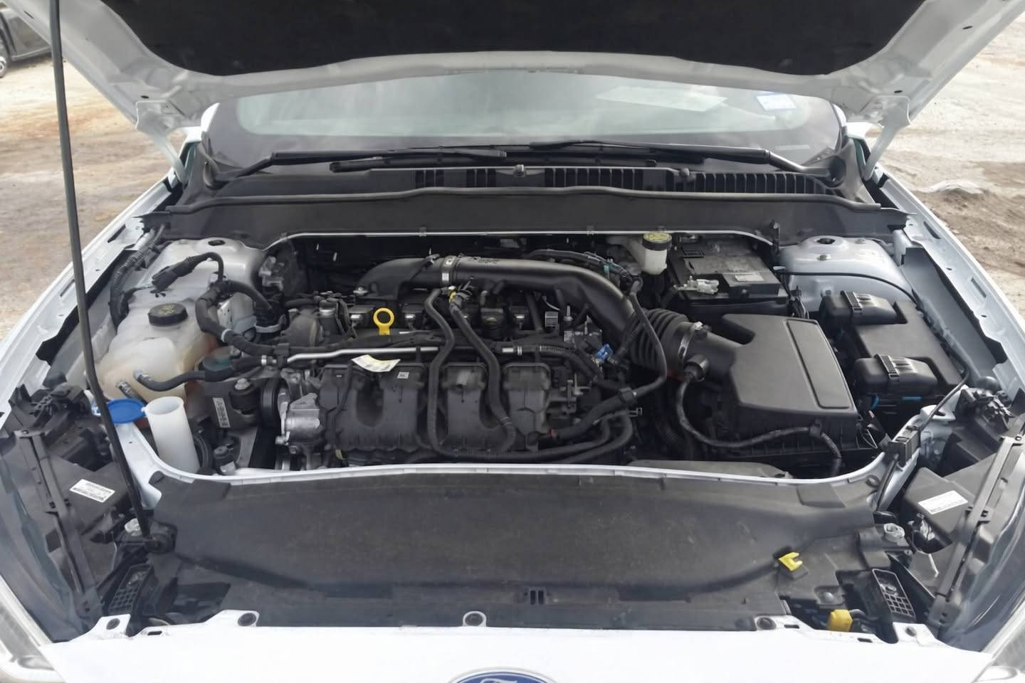 للبيع سيارة فورد فيوجن 2020 كلين تايتل تيتانيوم


**إذا كنت صاحب هذا الإعلان وتريد حذفه لأي سبب، رجاءا أرسل رسالة إلى الدعم الفني**