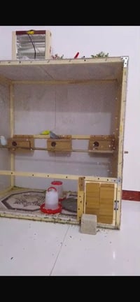 غراض • نظيفات • كلمن