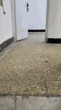 شقة للإيجار • ٣ غرف • ٥ ميل البيظان