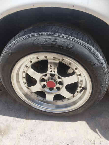 تخم ويل كب زعره للبيع حجم 15 رقمي *********** بسعر 300وبيهن مجال
