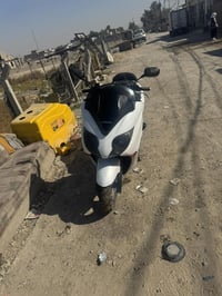 صفر • مكفولة • بغداد