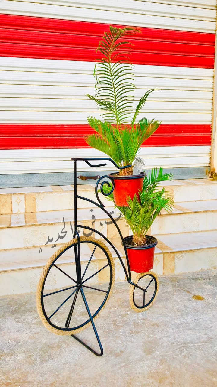 نقدم لكم مجموعة مميزة من استاندات الورد بتصاميم  متنوعة، جميلة، وجذابة تضيف أناقة خاصة لأي مكان.

✔️ عمل يدوي متقن
✔️ مصنوعة من أفضل أنواع الحديد القوي والمتين
✔️ تصاميم عصرية وكلاسيكية تناسب جميع الأذواق
✔️ مثالية للمنزل، الحديقة، الشرفات، والمشاريع

اجعل نباتاتك تتألق بطريقة أنيقة وفريدة 🌺
جودة عالية – تصميم رائع – سعر مناسب

📩 للحجز والاستفسار تواصل معنا الآن.


**إذا كنت صاحب هذا الإعلان وتريد حذفه لأي سبب، رجاءا أرسل رسالة إلى الدعم الفني**