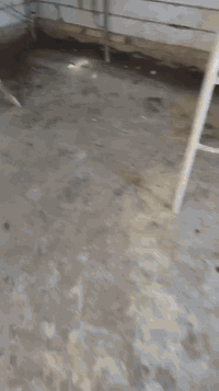 السلام عليكم
لباخ اسمنت جص بورك  ***********
تصفير مساطر نثر سقل قاطين ***********
من الحله متفرغ للعمل
