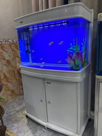 حوض سمك • ديكور منزلي