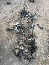 سيراتو • تخم كامل • حته دشبول