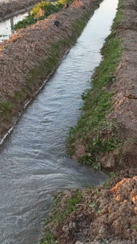 خلف جوهره • ١٤٢٥م • شارع تجاري