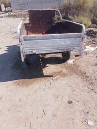 ام ستوته • موديل 13 • اوراق كاملة