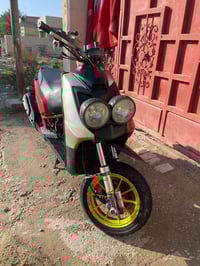 سكنز جبلي • تزويد بلادي • كفالة كاملة