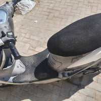 للبيع ماكس منغولي فحل رقم هاتف07711597305