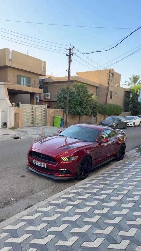 موستنك 5.0 - GT  بريميوم فول مواصفات  موديل 2015 

رقم شبه مميز 64422

حجم المحرك 5000  / V8
ممشى 75 ألف فقط كلين (حادث دعامية فقط) بدون ايرباك– بدون صبغ – بدون تبديل

ملاحظة بسيطة: بارد بالهلال مال جاملغ سونار بالمنشور 

سيارة جداً  نظيفة مكينة وكير واكسل كفاله على وضع الشركة 

فل مواصفات (Premium Full): 
تشغيل عن بعد 
– كشنات ميموري 
– إنارة ترحيب 
– رادار نقطة عمياء
_ دشبول  7 ألوان
 – شاشة SYNC كبيرة 
– دمام بالصندوك
_كشنات تبريد \ تدفئة
 – مودات قيادة \ ستيرن

الحالة: الصدر الأمامي والخلفي الأذاين مبدلات جدد تايرات جديدة اطلس من احمد ورمزي – السيارة ما محتاجة شي تجي وتشوفها

الإضافات \: دبات Borla أصلية قفايص X-pipe 3 إنج داون بايب برمجة وتفريغ

ويل Vossen HF-5 أصلي توسايز لويات Eibach

فجوج 6 بستم \ فلنجات كبار

Strut Bar GT

بوابات صوت (تفتح/تغلق)

الإكسسوارات:

لحية Cervini – دفيوزر Shelby

باك لايت سموك – إشارات LED لدات دعامية \ دفيوزر حلوك دبل – شفتات ستيرن

مكان السياره بغداد حي الجامعه 

***********
