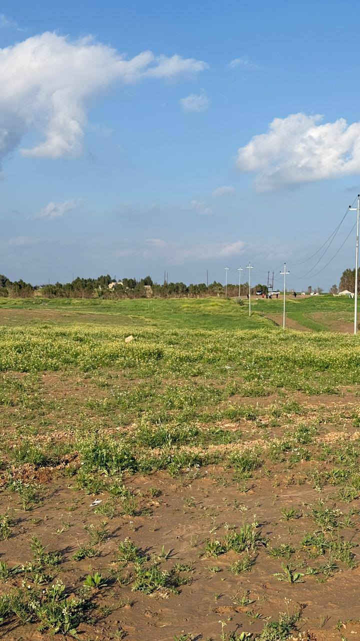 السلام عليكم ارض للبيع في جزيرة بعاجة قرب بساتين العلي الكصب ابيع  2 دونم او 4 او 6 دونم الكهرباء قريبة منها.. مع اجواء ربيعية جميلة  للأستفسار  الأتصال على الارقام التالية . *********** او  ***********
