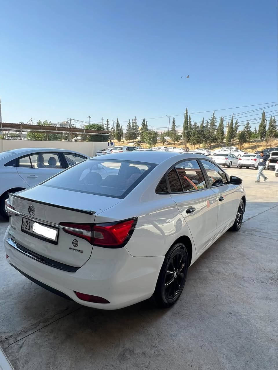 ٢٠٢٣ ناوزه رد جوانكارى بو كراوه ٧٩ هه زار رويشتوه ٢ په له پيديئارى هه يه *********** السليمانية, العراق
