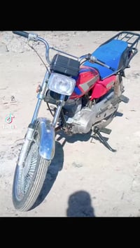 موديل 21 • أوراق كاملة • جبله حي العسكري