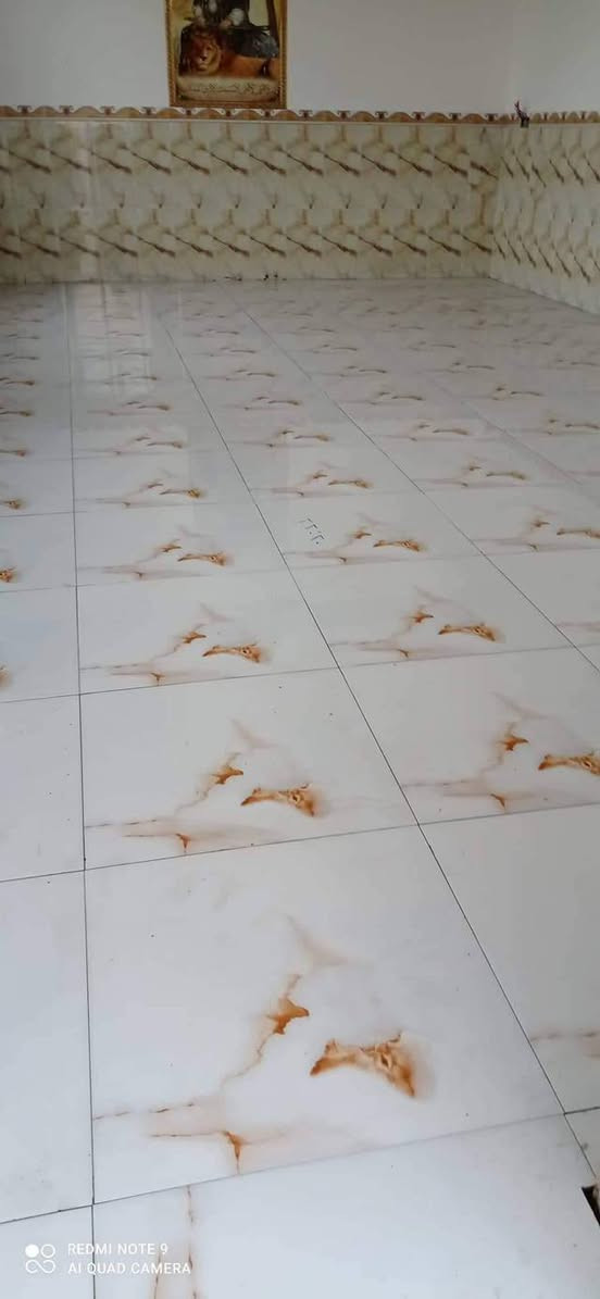خلفه سيراميك متفرغ للعمل
نعمل سيراميك مرمر كرانيت 
بايات درج حجر قرض بورسلين 
استفسار اكثر اتصل 
 ***********واتساب***********
‏‪مستعدون لكافه أعمال الترميم
